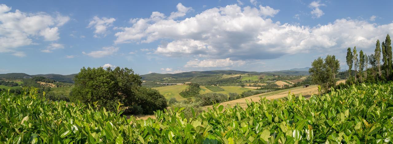 Agriturismo Dei Casali Амелія Екстер'єр фото